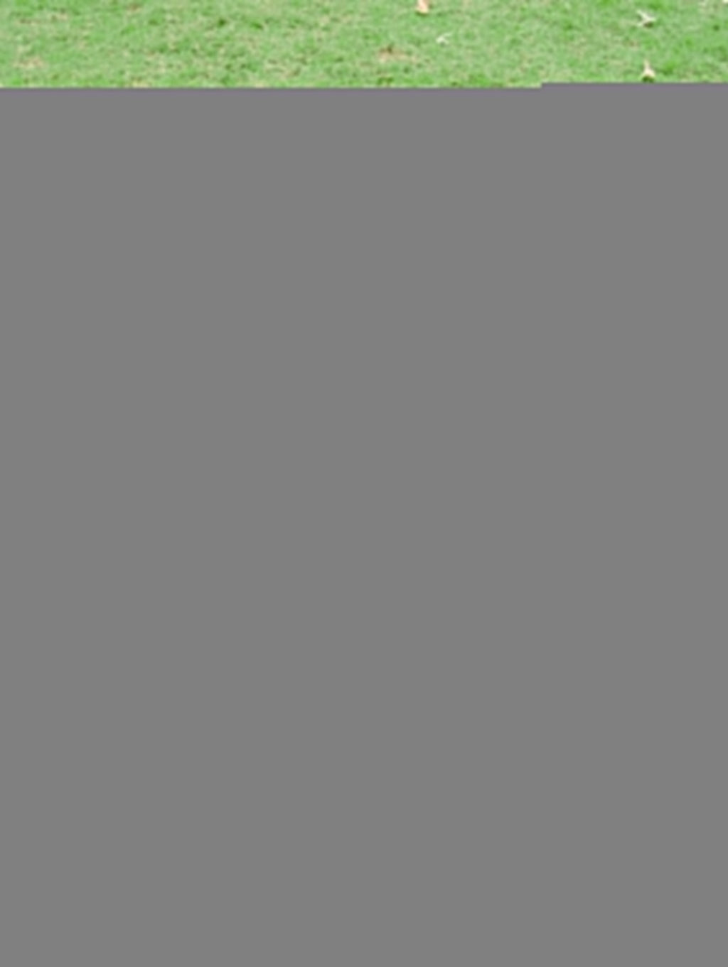 Rosemary Dotted Plaid Cotton Dress, in Off white